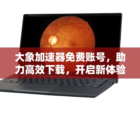 大象加速器免费账号,助力高效下载,开启新体验 大象加速器免费账号,助力高效下载,开启新体验