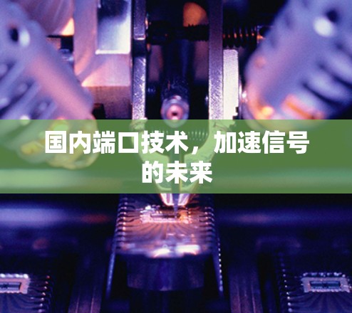 国内端口技术,加速信号的未来 国内端口技术,加速信号的未来