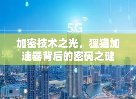 加密技术之光,狸猫加速器背后的密码之谜 加密技术之光,狸猫加速器背后的密码之谜