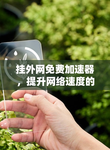 挂外网免费加速器,提升网络速度的高效选择 挂外网免费加速器,提升网络速度的高效选择