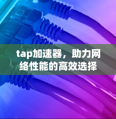 tap加速器,助力网络性能的高效选择 tap加速器,助力网络性能的高效选择