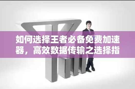 如何选择王者必备免费加速器，高效数据传输之选择指南