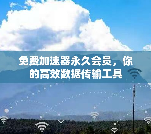 免费加速器永久会员，你的高效数据传输工具