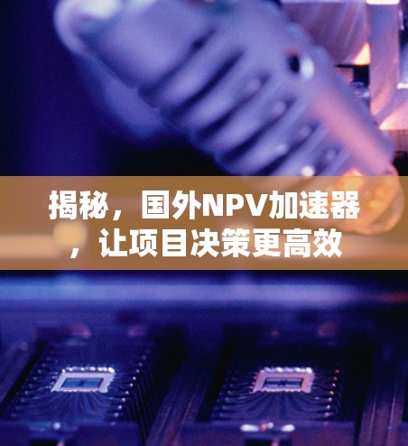 揭秘，国外NPV加速器，让项目决策更高效