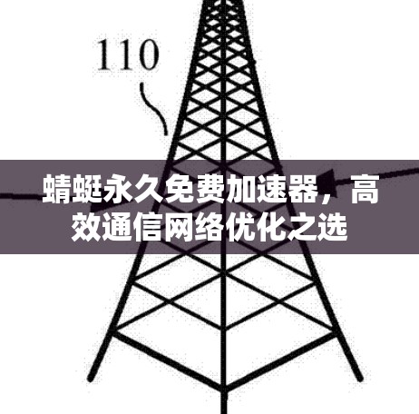 蜻蜓永久免费加速器，高效通信网络优化之选