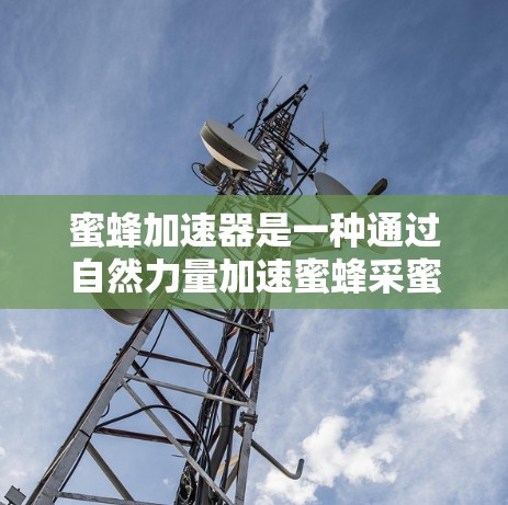 蜜蜂加速器是一种通过自然力量加速蜜蜂采蜜的装置，其运作原理基于蜜蜂的自然行为和能量传递机制。以下是对蜜蜂加速器的详细说明