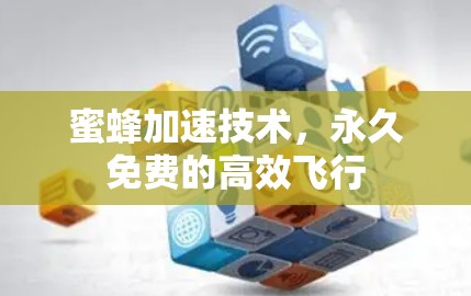 蜜蜂加速技术，永久免费的高效飞行