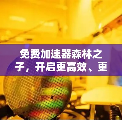 免费加速器森林之子，开启更高效、更智能的网络之旅