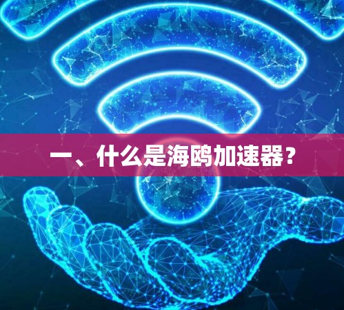 一、什么是海鸥加速器？