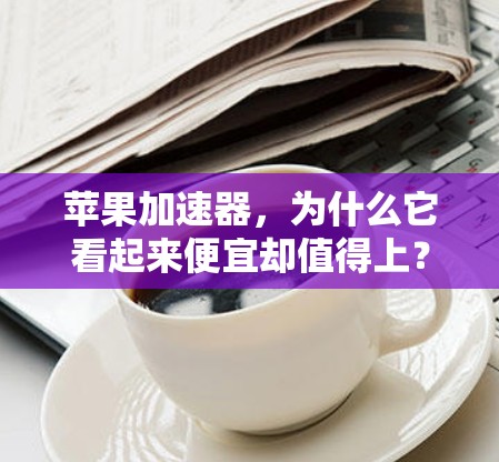 苹果加速器，为什么它看起来便宜却值得上？