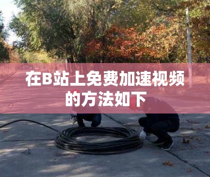 在B站上免费加速视频的方法如下