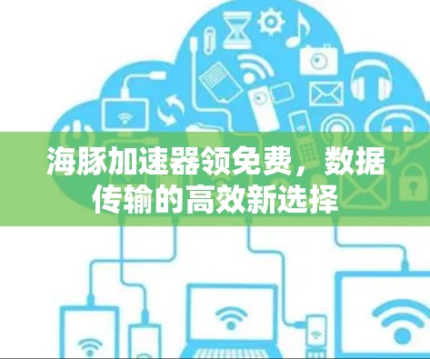 海豚加速器领免费，数据传输的高效新选择