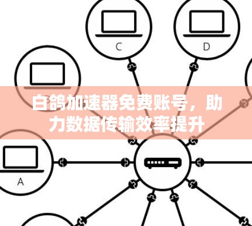 白鸽加速器免费账号，助力数据传输效率提升