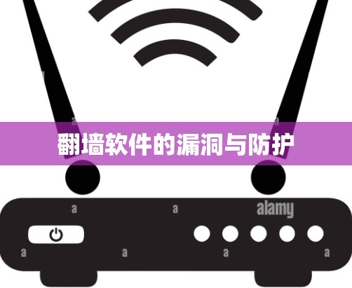 翻墙软件的漏洞与防护