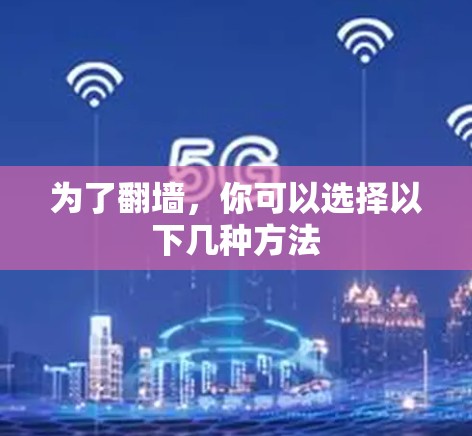 为了翻墙，你可以选择以下几种方法