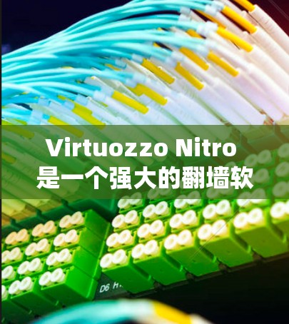 Virtuozzo Nitro 是一个强大的翻墙软件，适合需要安全和权限控制的用户。以下是使用 Virtuozzo Nitro 进行翻墙的详细步骤