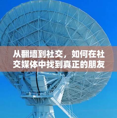 从翻墙到社交，如何在社交媒体中找到真正的朋友