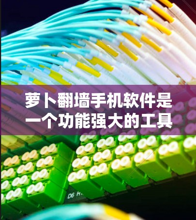 萝卜翻墙手机软件是一个功能强大的工具，主要用来检测和过滤翻墙网站，帮助用户安全访问互联网。以下是针对该软件的详细回答
