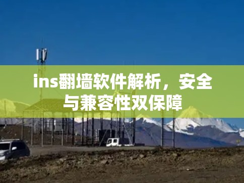 ins翻墙软件解析，安全与兼容性双保障