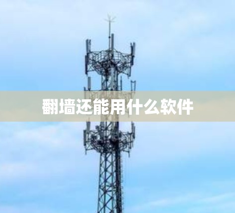 翻墙还能用什么软件