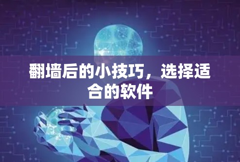 翻墙后的小技巧，选择适合的软件