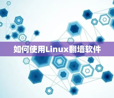 如何使用Linux翻墙软件