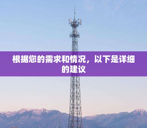 根据您的需求和情况，以下是详细的建议