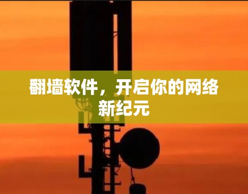 翻墙软件，开启你的网络新纪元