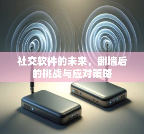 社交软件的未来，翻墙后的挑战与应对策略