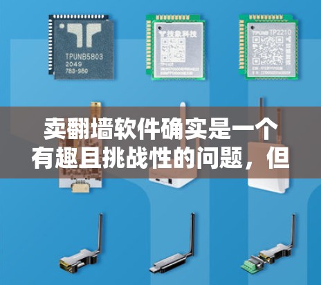 卖翻墙软件确实是一个有趣且挑战性的问题，但需要谨慎考虑其潜在风险和利益。以下是详细的步骤指南
