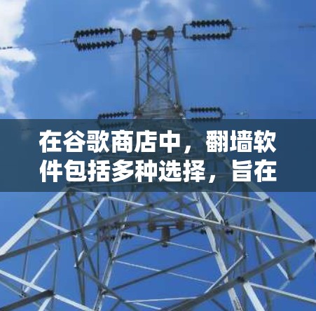 在谷歌商店中，翻墙软件包括多种选择，旨在访问被限制的网站。以下是详细的步骤和信息