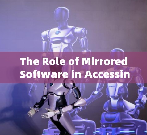 The Role of Mirrored Software in Accessing Foreign TV Content