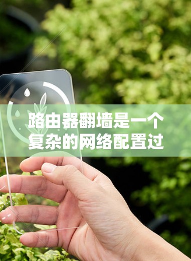 路由器翻墙是一个复杂的网络配置过程，涉及IP映射、翻墙功能设置、默认IP配置以及路由表更新等步骤。以下是一步步的指南，帮助您顺利完成翻墙配置