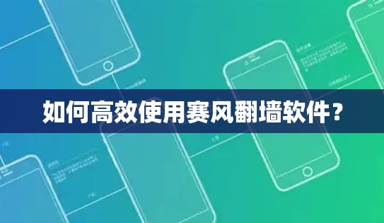 如何高效使用赛风翻墙软件？