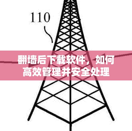 翻墙后下载软件，如何高效管理并安全处理
