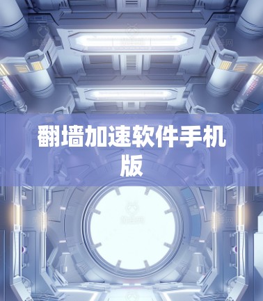 翻墙加速软件手机版