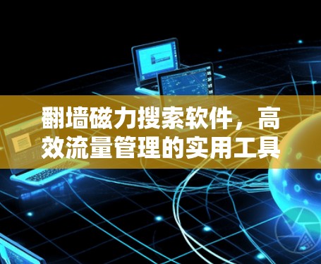 翻墙磁力搜索软件，高效流量管理的实用工具