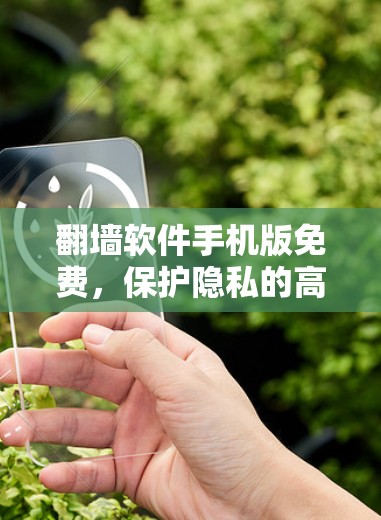 翻墙软件手机版免费，保护隐私的高效解决方案