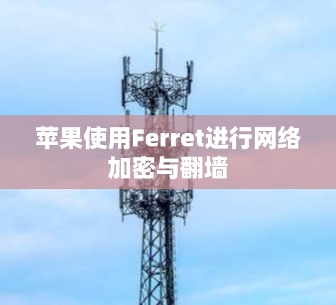 苹果使用Ferret进行网络加密与翻墙