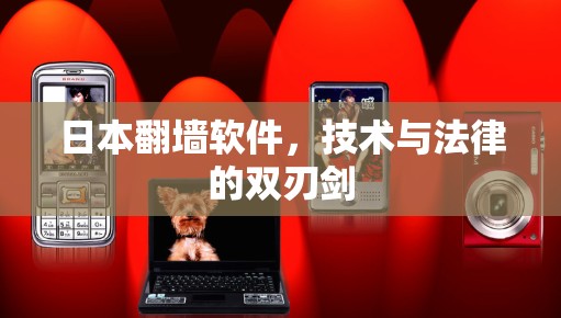 日本翻墙软件，技术与法律的双刃剑