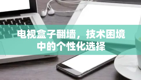 电视盒子翻墙，技术困境中的个性化选择