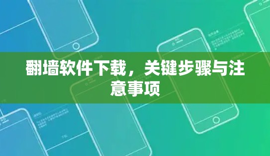 翻墙软件下载，关键步骤与注意事项