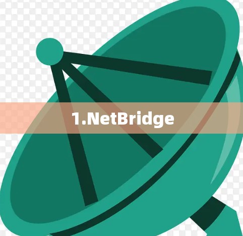 1.NetBridge