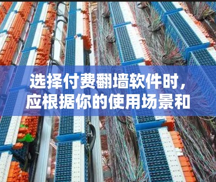 选择付费翻墙软件时，应根据你的使用场景和需求进行判断。以下是一个结构化的建议