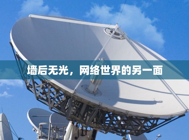 墙后无光，网络世界的另一面
