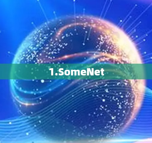 1.SomeNet