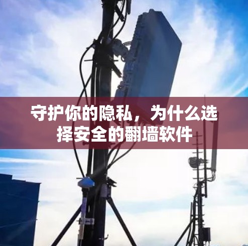 守护你的隐私，为什么选择安全的翻墙软件