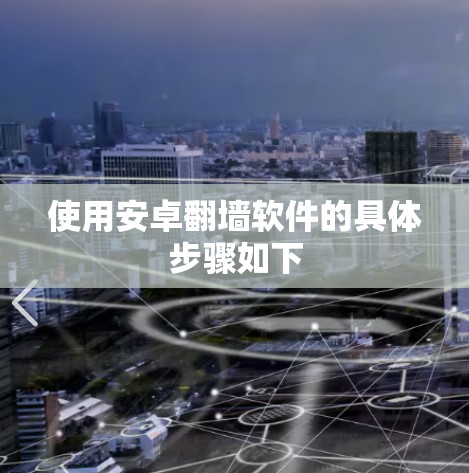 使用安卓翻墙软件的具体步骤如下