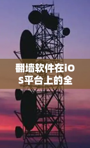 翻墙软件在iOS平台上的全解析与安全指南