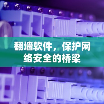 翻墙软件，保护网络安全的桥梁
